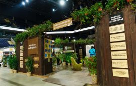 Diseno-de-Stand-para-Ministerio-de-Ambiente-1